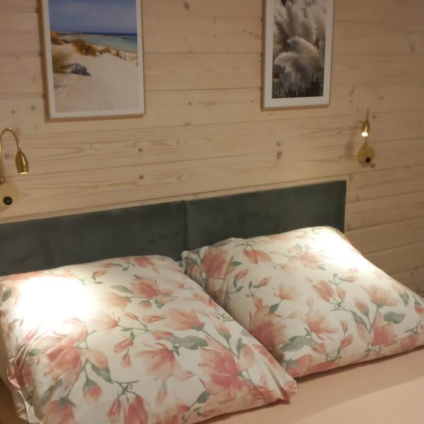 PHOTO-2026-02-13-13-39-52