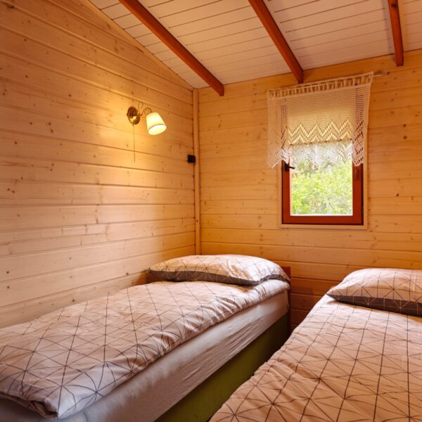 PHOTO-2026-02-28-23-00-57